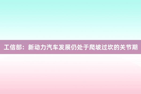 工信部：新动力汽车发展仍处于爬坡过坎的关节期