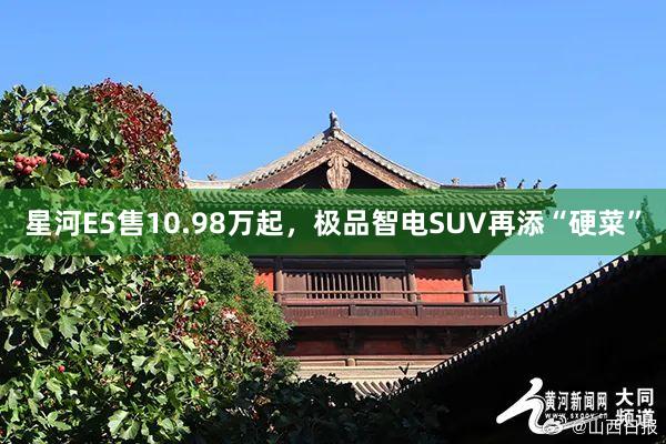 星河E5售10.98万起，极品智电SUV再添“硬菜”