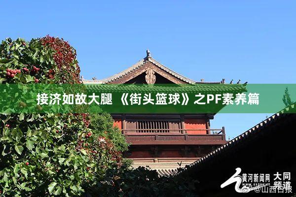 接济如故大腿 《街头篮球》之PF素养篇