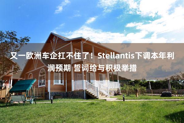 又一欧洲车企扛不住了！Stellantis下调本年利润预期 誓词给与积极举措