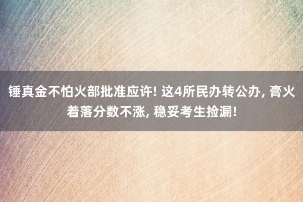 锤真金不怕火部批准应许! 这4所民办转公办, 膏火着落分数不涨, 稳妥考生捡漏!