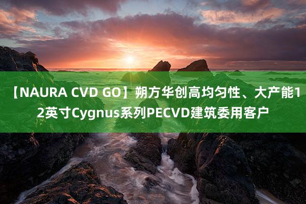 【NAURA CVD GO】朔方华创高均匀性、大产能12英寸Cygnus系列PECVD建筑委用客户