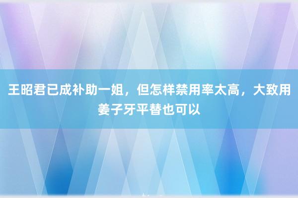 王昭君已成补助一姐，但怎样禁用率太高，大致用姜子牙平替也可以