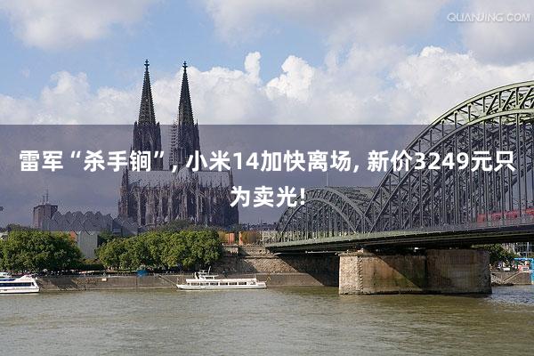 雷军“杀手锏”, 小米14加快离场, 新价3249元只为卖光!